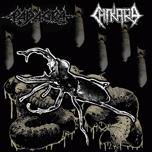 Chikara : Padagra - Chikara Chikara : Padagra - Chikara